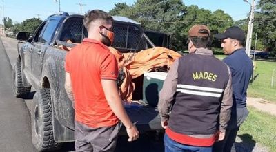 Incautan pescados y redes tras controles en Villeta