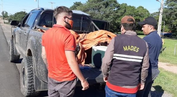 Incautan pescados y redes tras controles en Villeta