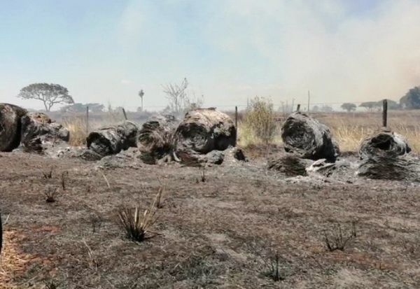 Supuestos Sin Tierra incendian 150 hectáreas de soja