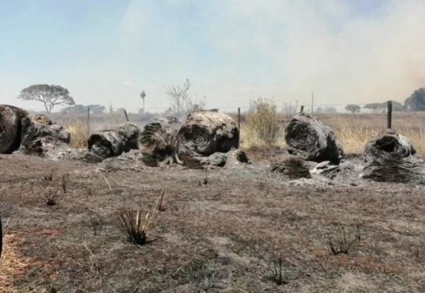 Queman 150 hectáreas de soja en el Departamento de San Pedro