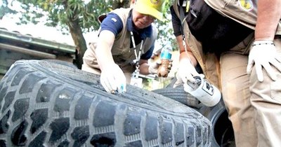 La Nación / Suman 357 casos y 712 notificaciones de dengue por semana