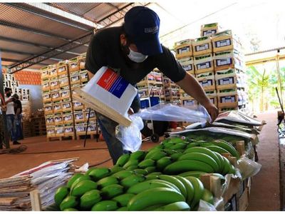 Cuba comprará arroz y exportan cajas de   banana a Argentina