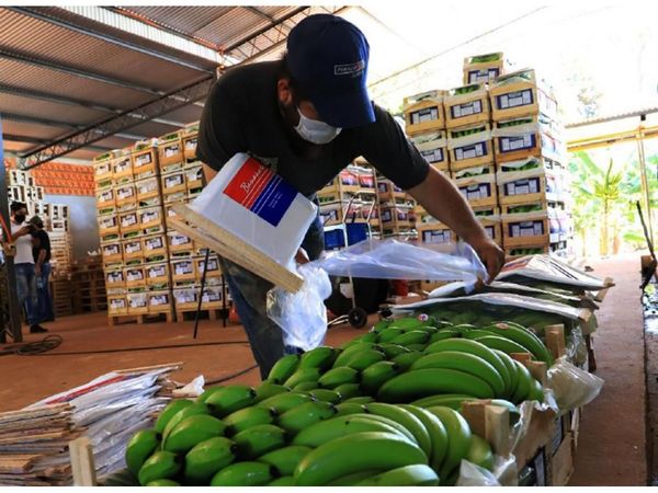 Cuba comprará arroz y exportan cajas de banana a Argentina