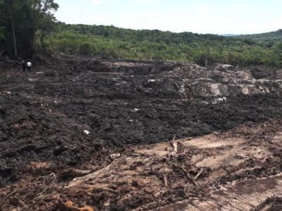 Mades minimiza desmonte en granja de diputado Samaniego