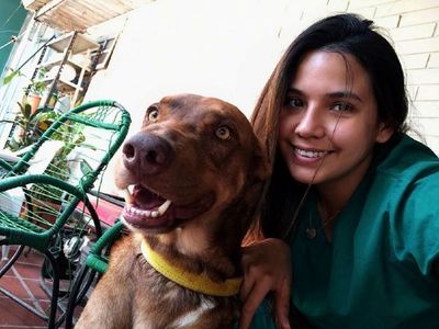 Cuidando  mascotas con discapacidad