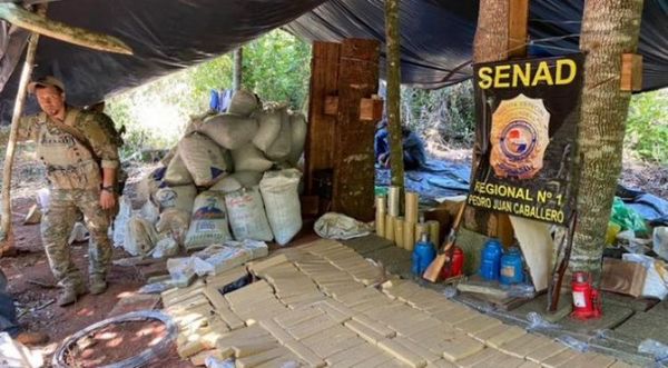 PJC: Intervienen campamento narco, incautan marihuana y detienen a tres personas