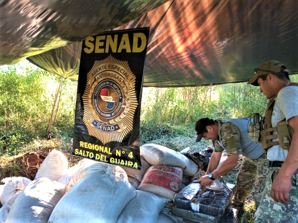 Incautan más de una tonelada de marihuana en Canindeyú – Diario TNPRESS