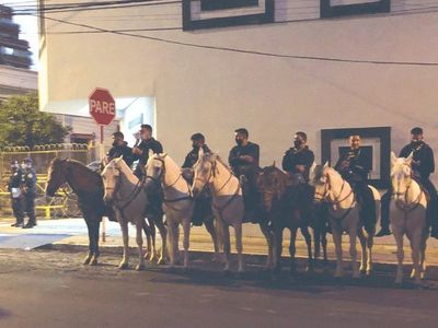 Caballo herido dejará de ir a movilizaciones