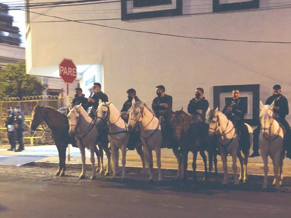 Caballo herido dejará de ir a movilizaciones