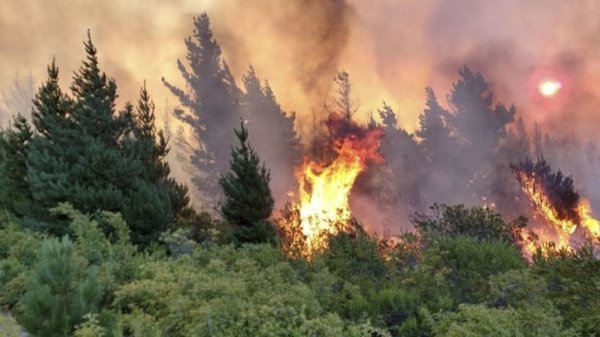 Preocupación por nuevos incendios forestales en Río Negro y Chubut: las llamas llegaron a la zona urbana | .::Agencia IP::.