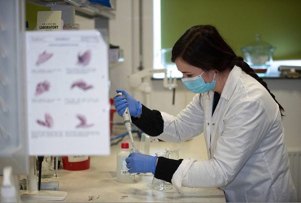 La ciencia se adentra en el estudio de las variantes - Ciencia - ABC Color
