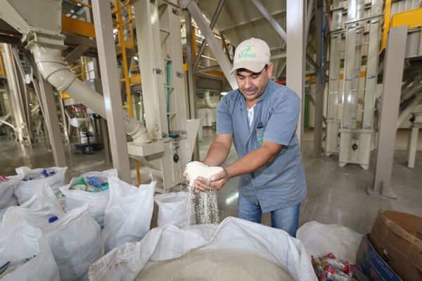 Paraguay ajusta detalles para exportar arroz a Cuba desde la próxima semana | .::Agencia IP::.