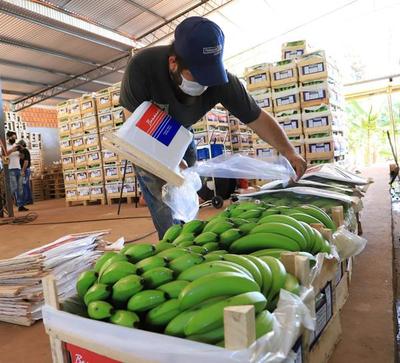 Con apoyo del MAG productores de Cordillera exportan banana de primera a la Argentina