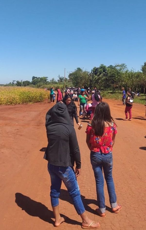 Denuncian que indígenas impiden cosecha de soja en Corpus Christi - Nacionales - ABC Color
