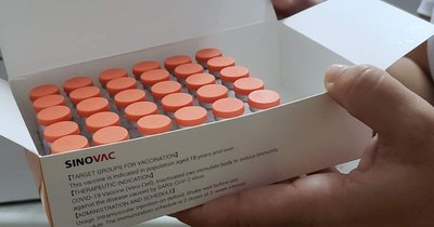 La Nación / CoronaVac es indicada para prevenir formas graves de COVID-19, refieren