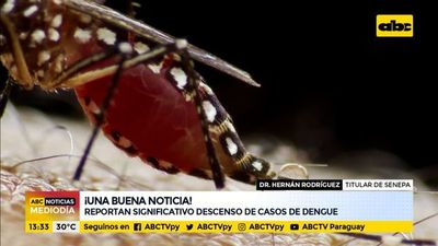 Reportan significativo descenso de casos de dengue - ABC Noticias - ABC Color