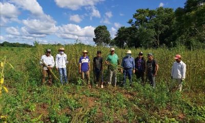 Proyecto DIAFPA ya sembró 6.917 hectáreas a favor de labriegos, con cooperación de Itaipú