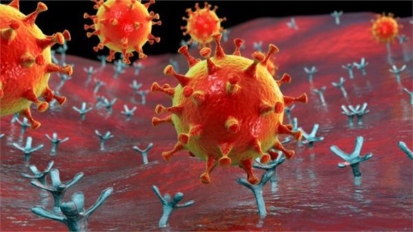 Coronavirus: ¿cómo aumenta la capacidad de infección del SARS-CoV-2 con cada nueva variante?