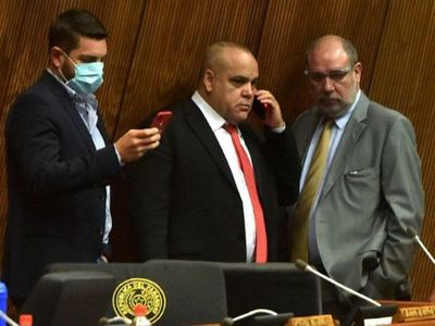 Los diputados de los que depende el juicio político a Mario Abdo