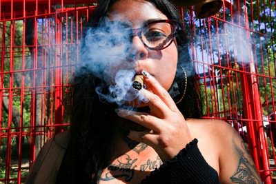 La Cámara de Diputados de México aprueba ley de consumo lúdico de marihuana - MarketData
