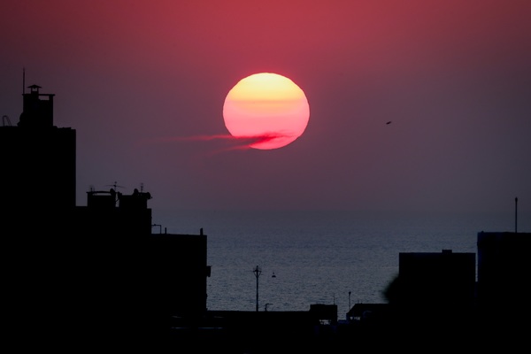 Naturaleza, museos y bodegas buscan fomentar el turismo interno en Montevideo - MarketData