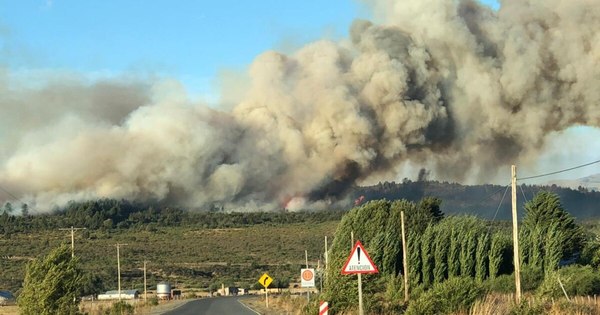 La Nación / Incendio forestal consume 8.500 hectáreas en Argentina