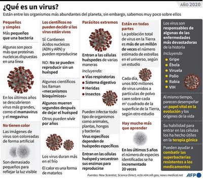 A partir de vacunas existentes, podrían crear dosis específicas contra variantes - Mundo - ABC Color