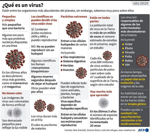 A partir de vacunas existentes, podrían crear dosis específicas contra variantes - Mundo - ABC Color