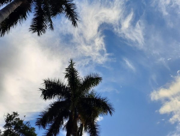 Cálido a caluroso con cielo escasamente nublado · Radio Monumental 1080 AM