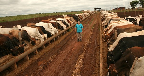 La Nación / ARP destaca interés de productores sobre trazabilidad individual del ganado