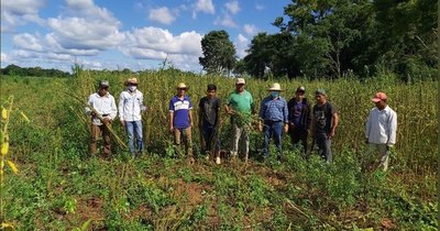 La Nación / Itaipú financia proyectos agrícolas de más de 5.000 productores de seis departamentos