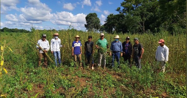 La Nación / Itaipú financia proyectos agrícolas de más de 5.000 productores de seis departamentos