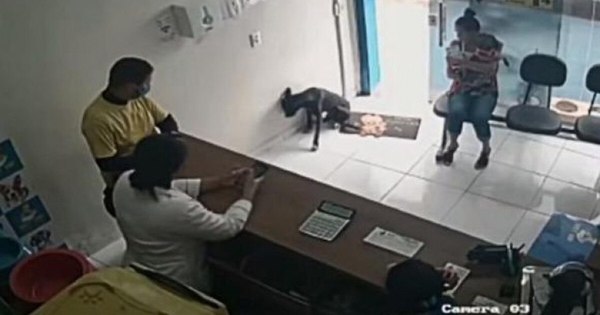 La Nación / (Video) Conmovedor: perro herido entra a veterinaria a pedir ayuda
