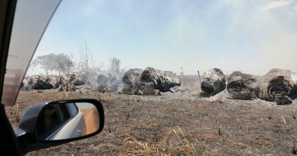 La Nación / Denuncian por vandalismo a invasores de tierra en San Pedro