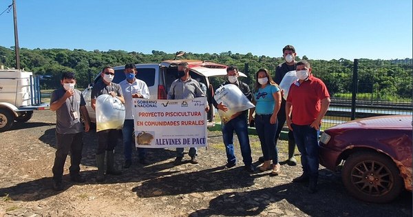 La Nación / Indert entrega 7.000 alevines de pacú y lotes a familias rurales