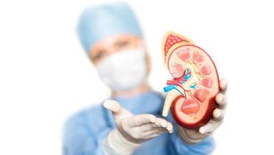 En el “Día Mundial del Riñón”, instan a preservar la salud con cuidado preventivo | Ñanduti