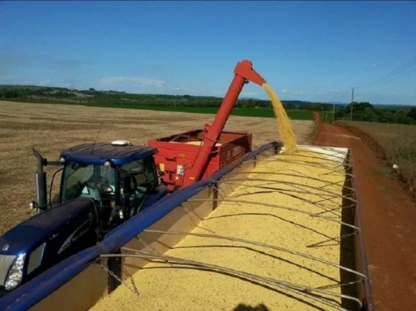 Roban camión 33.000 kilos de soja | Noticias Paraguay