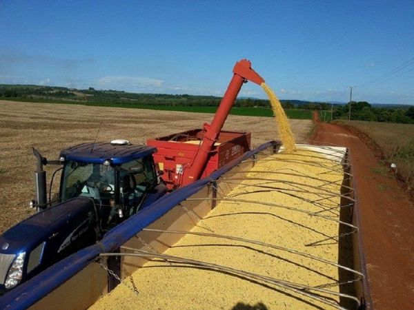 En extrañas circunstancias, roban camión con más de 33.000 kilos de soja - Noticiero Paraguay