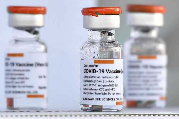 Llegarán 100 mil vacunas en los próximos 20 días, dice senador | OnLivePy