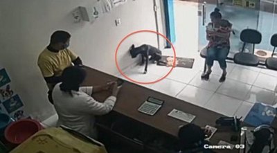 Crónica / (VIDEO) Perro herido entró a una veterinaria para busca ayuda