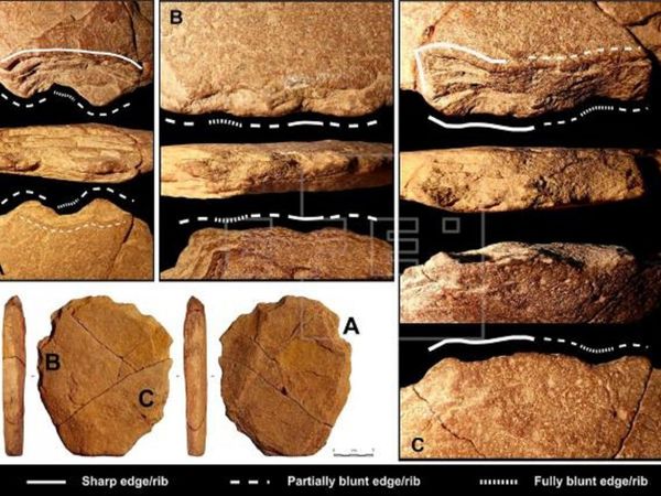 Hallan indicio de que humanos vivían en Sudamérica hace 24.000 años