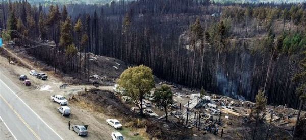 Un muerto y 11 desaparecidos en incendios forestales en Argentina