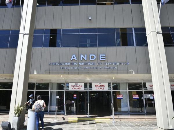 ANDE advierte sobre “industrias” que se instalan en el país y consumen hasta 100 MW - Nacionales - ABC Color