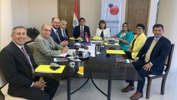 Aneaes, con nueva titular al frente, prevé 199 evaluaciones para el 2021