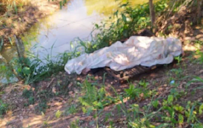 Policía reporta hallazgo de un cadáver en Yby Yaú y otro en Minga Guazú - Noticiero Paraguay