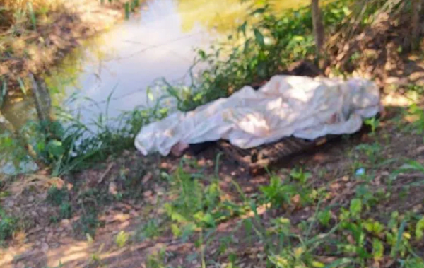 Policía reporta hallazgo de un cadáver en Yby Yaú y otro en Minga Guazú - Noticiero Paraguay