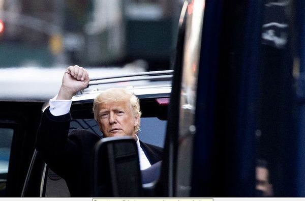 Trump ayuda a recaudar fondos para rescatar perros de China - Mundo - ABC Color