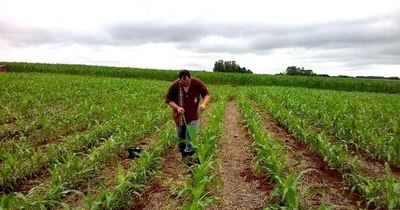 La Nación / Mejora de suelo para alimentos