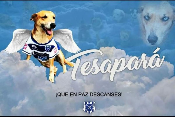 Crónica / Antonio Armoa : “Será difícil sin Tesaparã en la cancha”