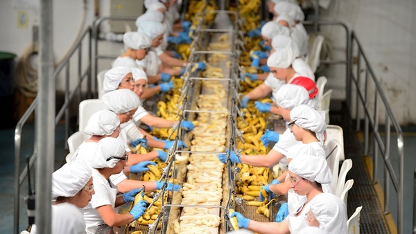 Un año sin precedentes para los negocios